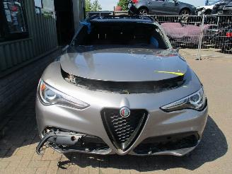 Vrakbiler auto Alfa Romeo Stelvio  2019/1