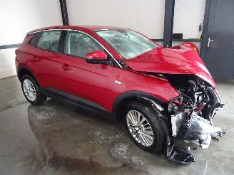 damaged passenger cars Opel Grandland 1.2 THP AUTOMAAT 2020/6