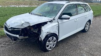 Auto incidentate Skoda Fabia 1.0 TSI 12V 2017/9