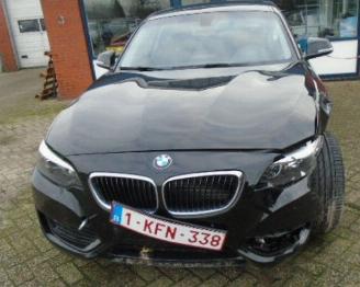 BMW 2-serie 218d picture 15