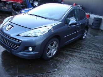 disassembly commercial vehicles Peugeot 207  2010/1