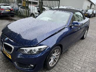 Sloopauto BMW 2-serie 218i  Automaat Cabriolet 2018/1