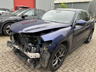 Damaged car Alfa Romeo Stelvio 2.0  Q4   Automaat   ( Leer- Panoramadak ) 2019/3