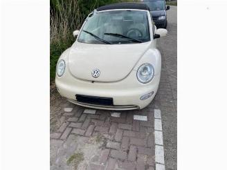 Volkswagen Beetle  picture 12