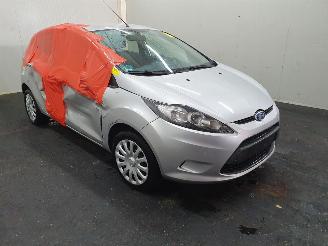 disassembly passenger cars Ford Fiesta 1.25 Limited 2009/5