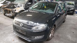 disassembly passenger cars Volkswagen Polo Polo 1.2 TDI Blue Motion Comfortline 2011/1