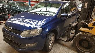disassembly passenger cars Volkswagen Polo Polo 1.2 TDI Bluemotion Comfortline 2012/10