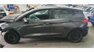 škoda osobní automobily Ford Fiesta Fiesta 7, Hatchback, 2017 / 2023 1.0 EcoBoost 12V 100 2019/10