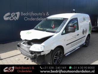 danneggiata veicoli commerciali Volkswagen Caddy Caddy III (2KA,2KH,2CA,2CH), Van, 2004 / 2015 1.9 TDI 2005/9