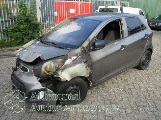 Voiture accidenté Kia Picanto Picanto (TA) Hatchback 1.0 12V (G3LA) [51kW]  (05-2011/06-2017) 2012/11