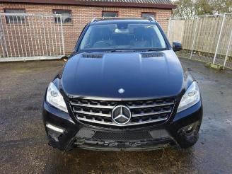 Mercedes ML  picture 1