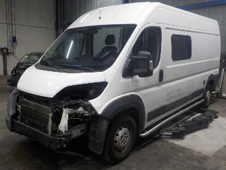 disassembly passenger cars Fiat Ducato Ducato (250) Ch.Cab/Pick-up 2.3 D 120 Multijet (F1AE0481D) [88kW]  (07=
-2006/02-2010) 2015