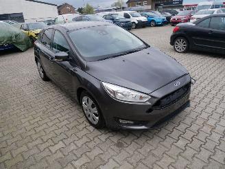 Ford Focus LIM. BUSINESS picture 2