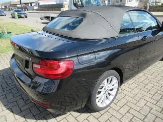 BMW 2-serie 218i Cabrio  SportLine 32,900km!! Airco-Aut Leer Navi StoelVerwarming.... picture 6
