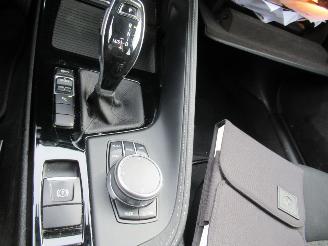 BMW X2 X2 S-Drive16d AUT. Headup-Display  Climatronic  Navi  Camera ...... picture 12