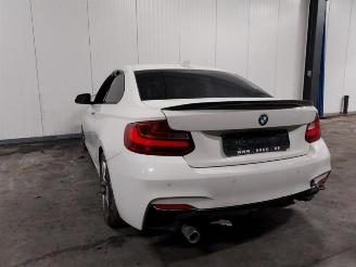 Avarii autoturisme BMW 2-serie 2 serie (F22), Coupe, 2013 / 2021 218d 2.0 16V 2017/6