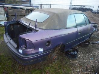 dañado vehículos comerciales Opel Cabrio  1996/1