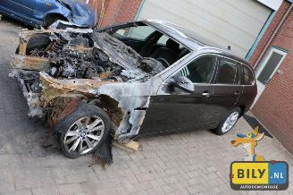 škoda přívěsy BMW 5-serie F11 520dX 2014/6