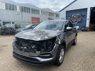 uszkodzony samochody osobowe Opel Grandland  2020/9