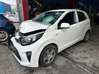damaged commercial vehicles Kia Picanto  2019/3